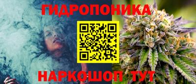 амф Коммунар