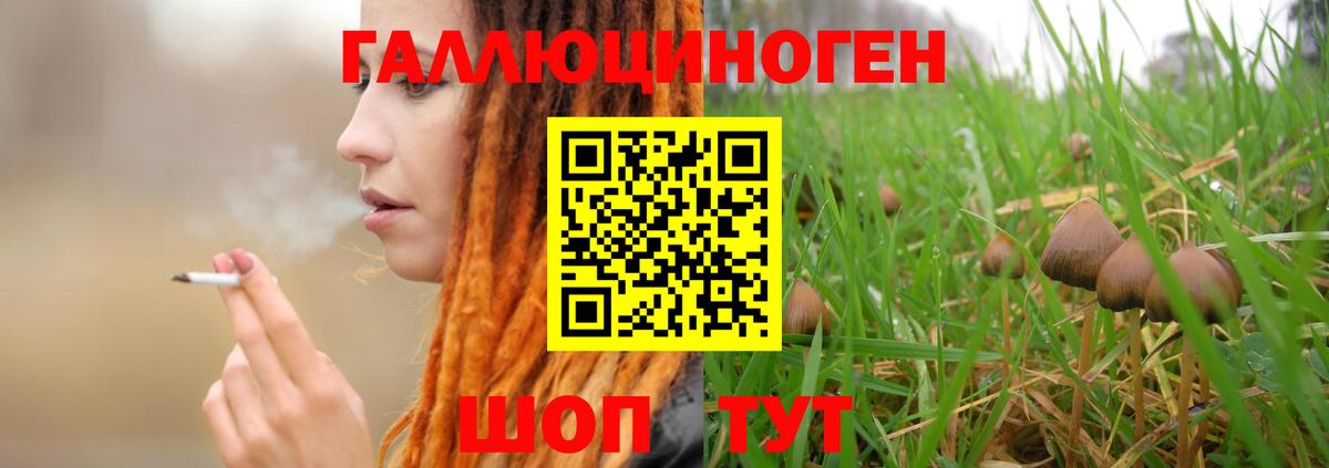 Янаул  Псилоцибиновые грибы мицелий  Вход с VPN  Псилоцибиновые грибы MAGIC MUSHROOMS 